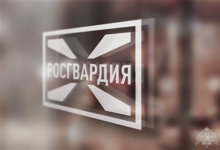 В Ульяновске сотрудники Росгвардии оказали содействие полицейским при задержании подозреваемых в незаконном хранении оружия