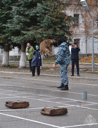 В Ульяновске сотрудники ОМОН Управления Росгвардии рассказали призывникам о работе кинолога