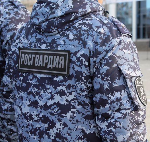 В Ульяновске росгвардейцы задержали подозреваемых в краже продукции из гипермаркета