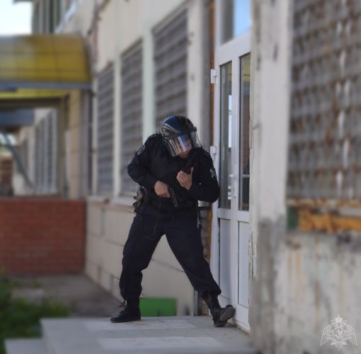 Ульяновские росгвардейцы пресекли две кражи за один день