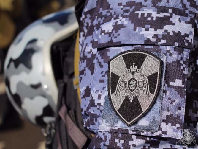 Гражданка, подозреваемая в краже из крупного гипермаркета, задержана ульяновскими росгвардейцами