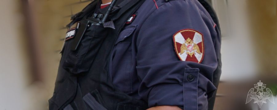 Сотрудники вневедомственной охраны Росгвардии задержали жителя Ульяновска подозреваемого в краже из строительного гипермаркета