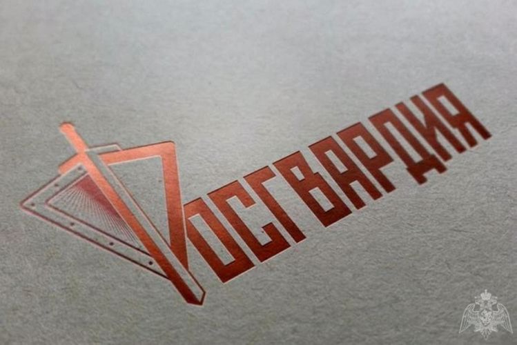 В День города ульяновские росгвардейцы обеспечили правопорядок и безопасность