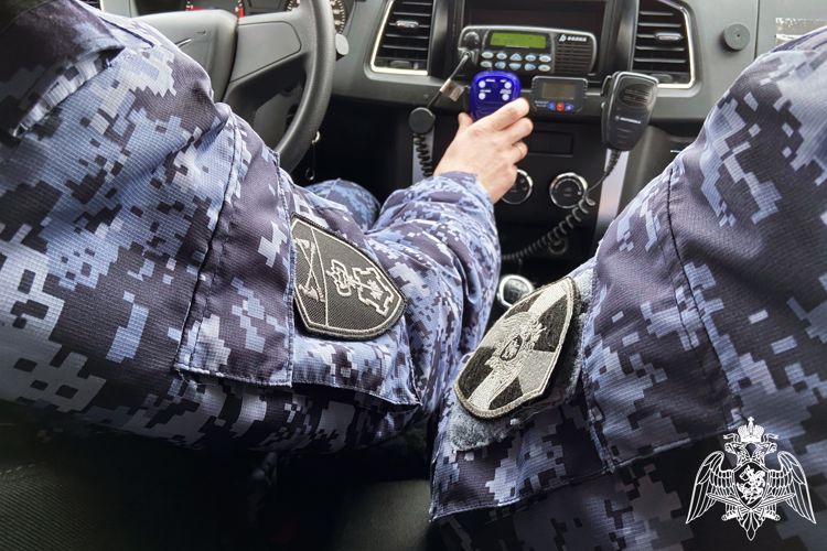 Ульяновские росгвардейцы задержали гражданина, подозреваемого в совершении кражи
