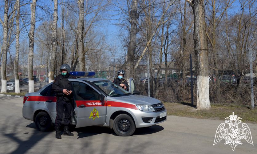 Ульяновские росгвардейцы задержали нетрезвого водителя с поддельными документами