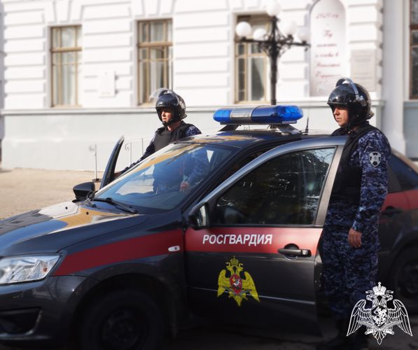 В Ульяновской области росгвардейцы задержали нетрезвого водителя