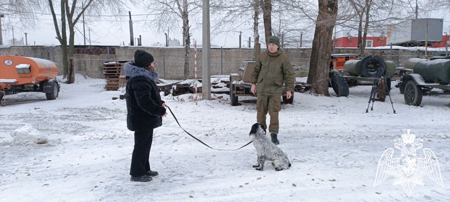В Ульяновске кинологи Росгвардии воплотили в жизнь мечту воспитанницы «Гвардейской смены»