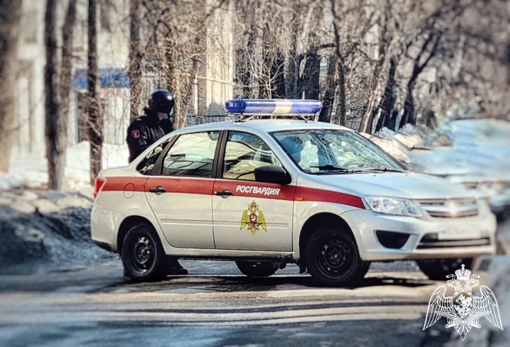 В Димитровграде сотрудники Росгвардии задержали гражданина, подозреваемого в краже 