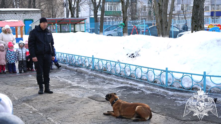 Ульяновские росгвардейцы познакомили дошколят со служебной собакой