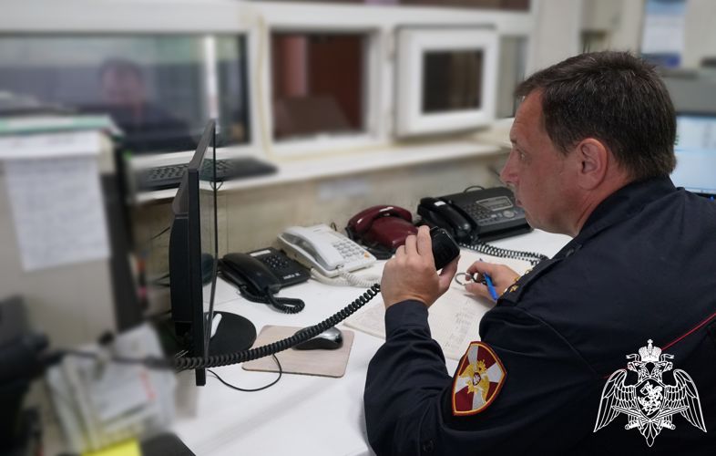 В Ульяновске сотрудники Росгвардии задержали нетрезвого водителя, совершившего ДТП