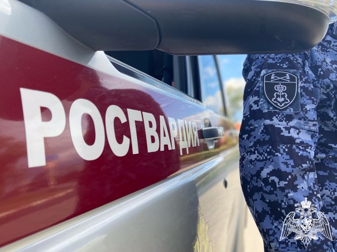 Сотрудники Росгвардии задержали девушку, подозреваемую в краже из крупного гипермаркета