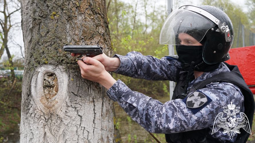 В Ульяновске сотрудники Росгвардии задержали гражданина, подозреваемого в угрозе убийством родной бабушке