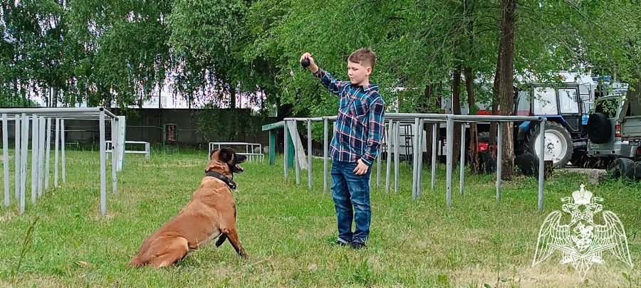 Ульяновские сотрудники Росгвардии рассказали о деятельности кинологической службы