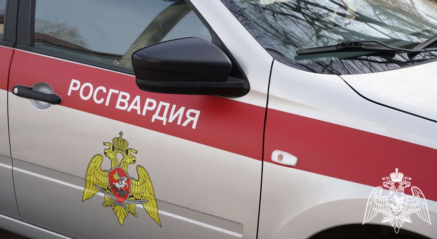 Ульяновские росгвардейцы задержали подозреваемого в  краже из торгового центра