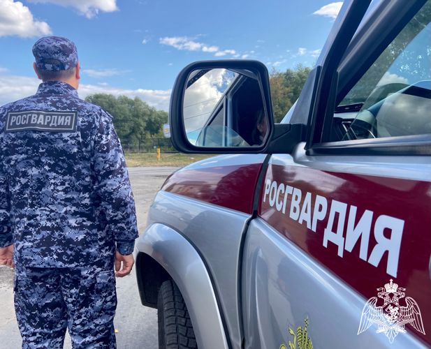 В Ульяновске сотрудники Росгвардии задержали мужчину, подозреваемого в краже