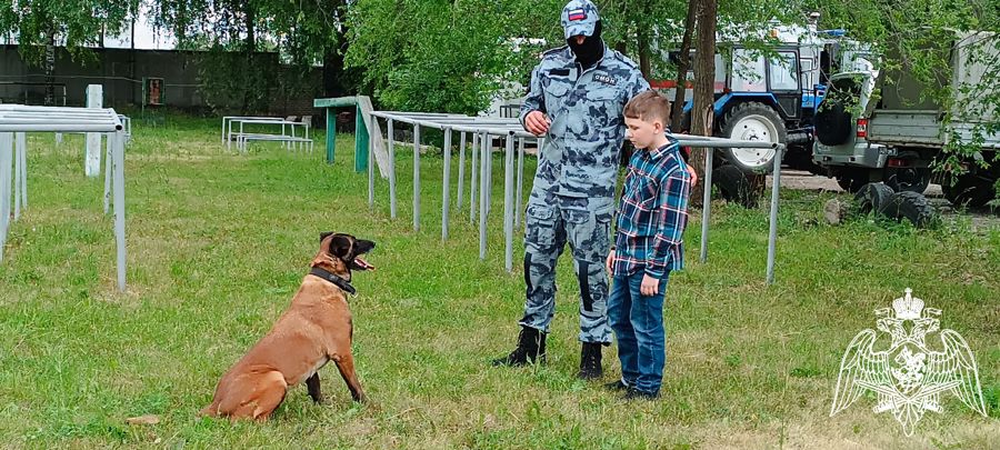 Ульяновские сотрудники Росгвардии рассказали о деятельности кинологической службы