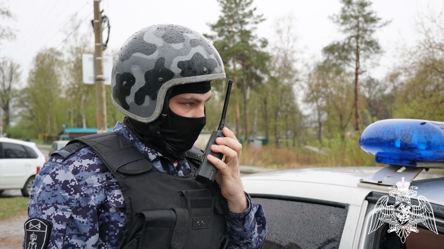 В Ульяновске сотрудники Росгвардии задержали гражданина, подозреваемого в грабеже