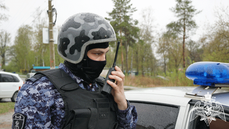В Ульяновске сотрудники Росгвардии задержали двоих граждан, находящихся в федеральном розыске 