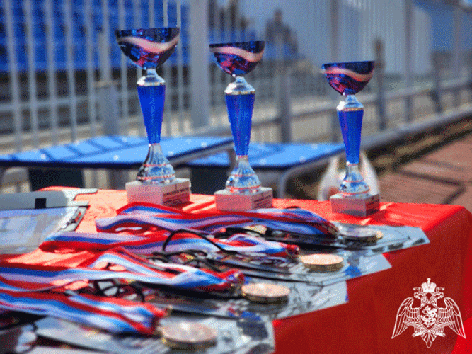 Ульяновские росгвардейцы стали серебряными призерами в чемпионате Приволжского округа Росгвардии 