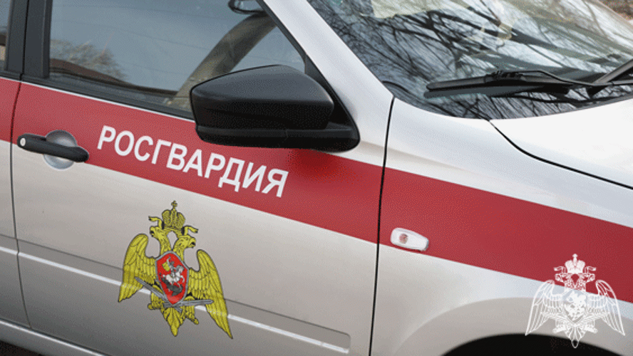 Ульяновские росгвардейцы помогли пожилой женщине