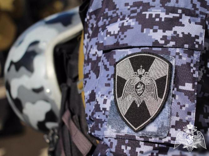 В Ульяновске сотрудники Росгвардии задержали подозреваемую в краже
