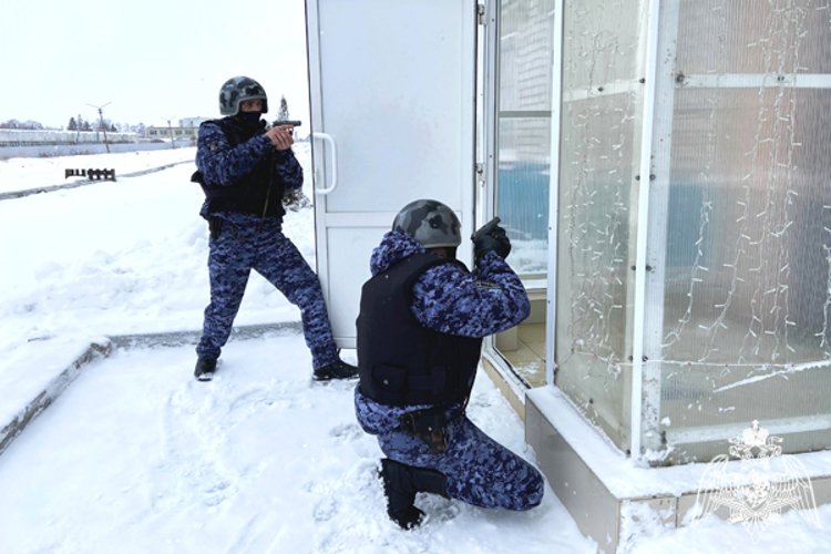 В Ульяновске сотрудники Росгвардии задержали гражданина, находящегося в федеральном розыске