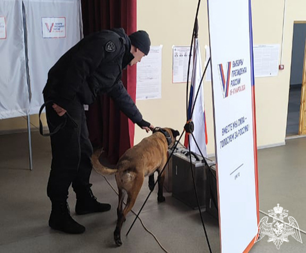 В Ульяновске представители Росгвардии обеспечили безопасность выборов Президента страны