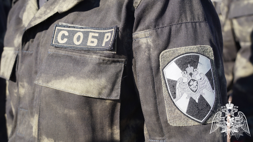 При содействии бойцов Росгвардии в Ульяновске задержаны подозреваемые в «автоподставах»