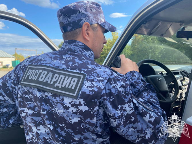 В Ульяновске завершился второй этап ведомственной акции Росгвардии «Безопасный дом, подъезд, квартира» 