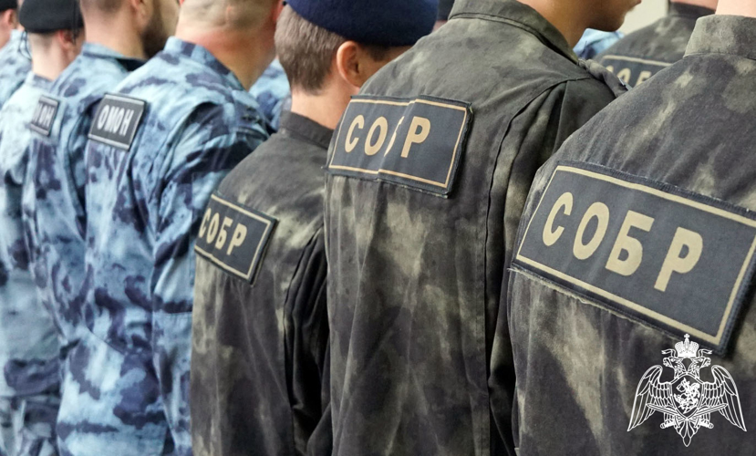 При содействии спецподразделений Росгвардии пресечена противоправная деятельность граждан, специализирующихся на незаконной организации игровых клубов в Ульяновске