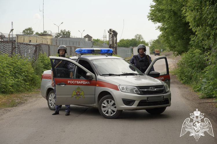 Ульяновские росгвардейцы задержали подозреваемого в краже