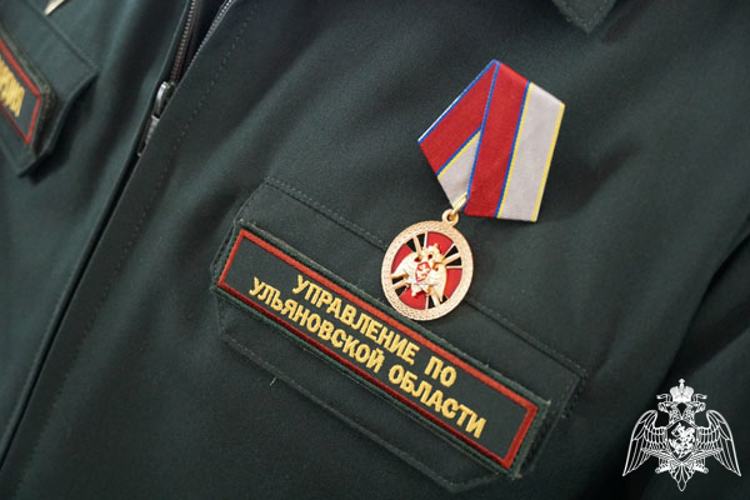 В преддверии Дня России ульяновским росгвардейцам вручили государственные и ведомственные награды