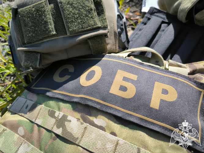 При содействии СОБР Росгвардии задержаны подозреваемые в серии вымогательств в Ульяновской области
