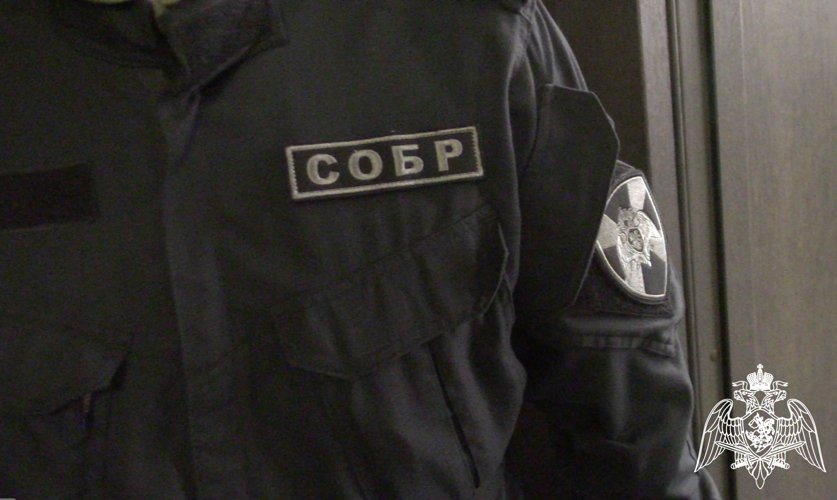 Задержанных при содействии спецподразделения СОБР «Пламя» членов экстремистской организации осудили в Димитровграде 