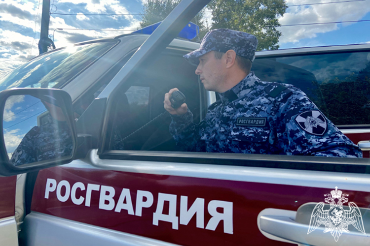 В Ульяновске росгвардейцы обеспечили охрану общественного порядка в День города