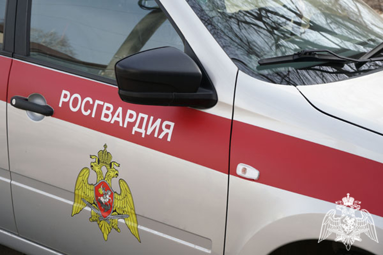 Ульяновские росгвардейцы задержали подозреваемых в совершении краж