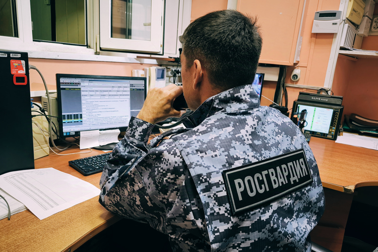 Росгвардейцы задержали ульяновца пытавшегося похитить бытовую технику
