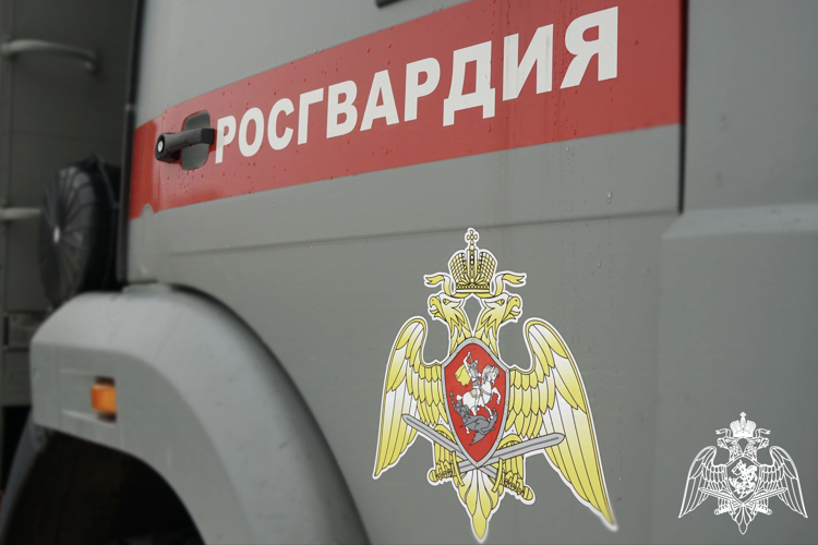 В Ульяновской области росгвардейцы задержали подозреваемого в  краже кошелька