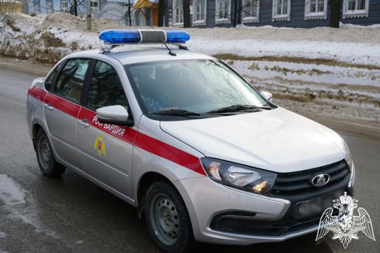 В Ульяновске сотрудники Росгвардии задержали подозреваемого в краже алкоголя 