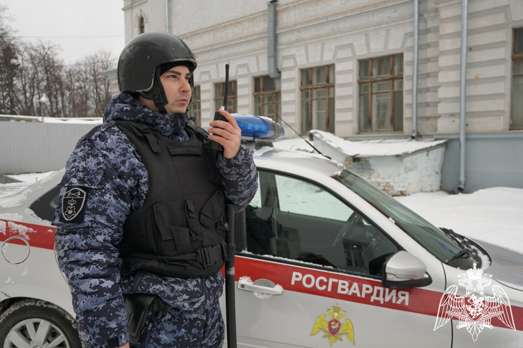 В Ульяновске росгвардейцы задержали подозреваемого в хулиганских действиях 