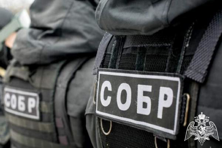 В Ульяновске при содействии спецподразделений Росгвардии задержаны подозреваемые в хулиганстве
