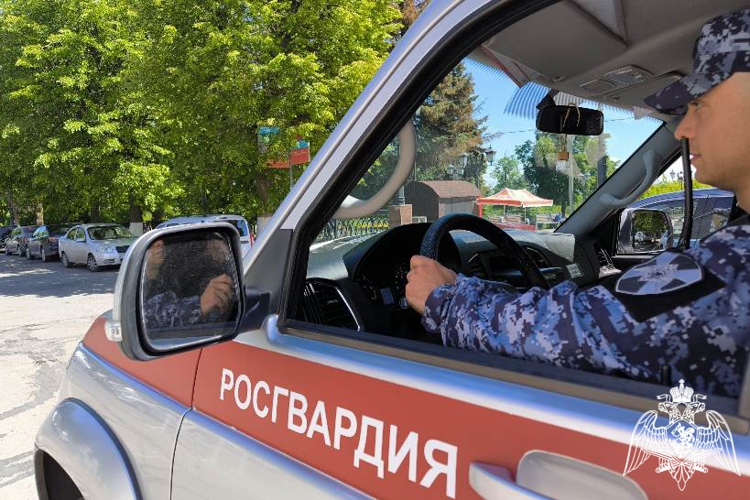 В Ульяновске росгвардейцы оказали помощь на месте ДТП с участием кареты «скорой помощи»