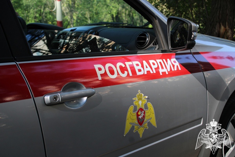 В Димитровграде росгвардейцы задержали подозреваемых за кражу из супермаркета