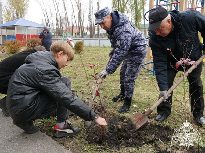 Ульяновские росгвардейцы посадили Сад памяти в честь Героя СССР 
