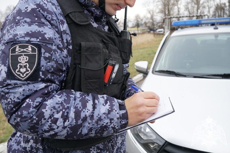 В Димитровграде росгвардейцы задержали женщину за кражу телефона