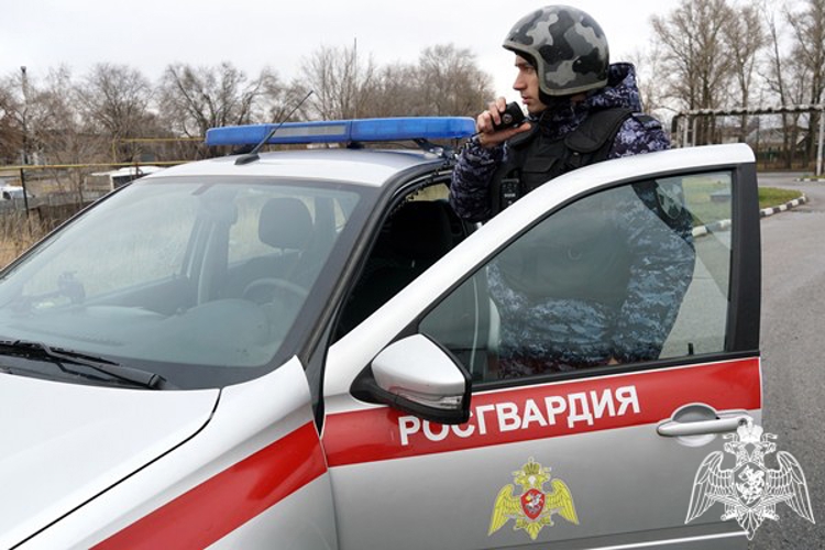 Сотрудники Росгвардии задержали подозреваемого в крупной краже из гипермаркета в Ульяновске 