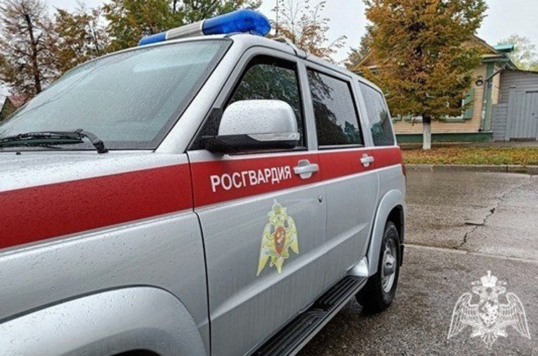 Сотрудники Росгвардии задержали покупательницу за кражу из ульяновского гипермаркета