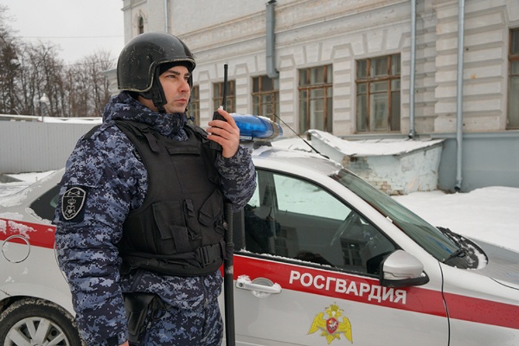 В Димитровграде росгвардейцы задержали женщину, причинившую телесные повреждения случайной знакомой