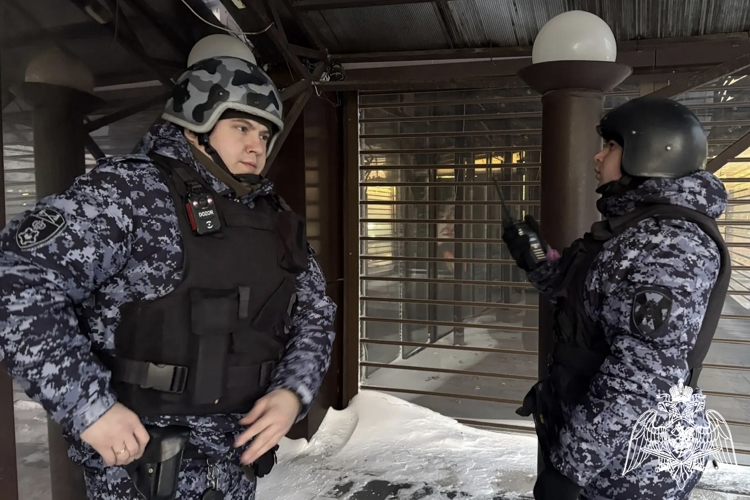В Димитровграде росгвардейцы задержали подозреваемую в краже наушников
