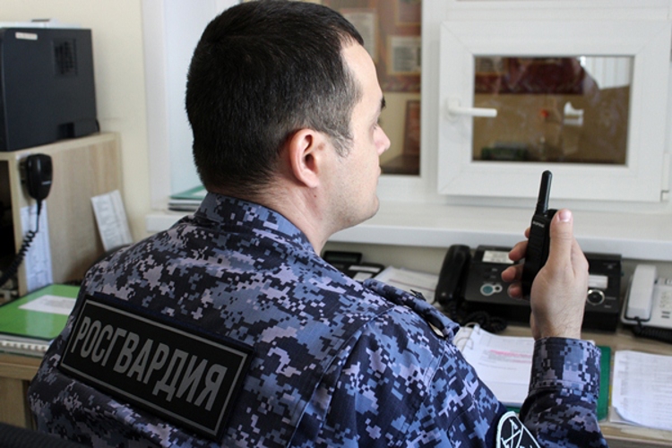 Сотрудники Росгвардии задержали правонарушителя в ульяновском гипермаркете